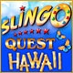 Slingo Quest Hawaii Game