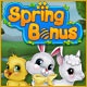 Spring Bonus Game