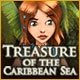 Treasure of the Caribbean Seas Game