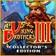 Viking Brothers 3 Collector's Edition Game