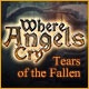 Where Angels Cry: Tears of the Fallen Game