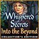 Whispered Secrets: Into the Beyond Collector's Edition Game