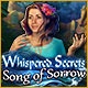 Whispered Secrets: Song of Sorrow Game