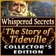 Whispered Secrets: The Story of Tideville Collector's Edition Game