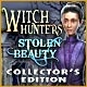 Witch Hunters: Stolen Beauty Collector`s Edition Game