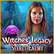 Witches' Legacy: Secret Enemy Game