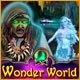 Wonder World Game