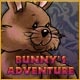 Bunny's Adventure Game