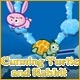 Cunning Turtle and Rabbit Game