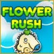 Flower Rush Game