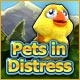Pets in Distress Game