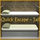 Quick Escape: Jail Game