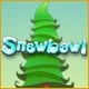 Snowbowl Game