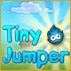 Tiny Jumper Game