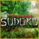 Wonderful Sudoku Game